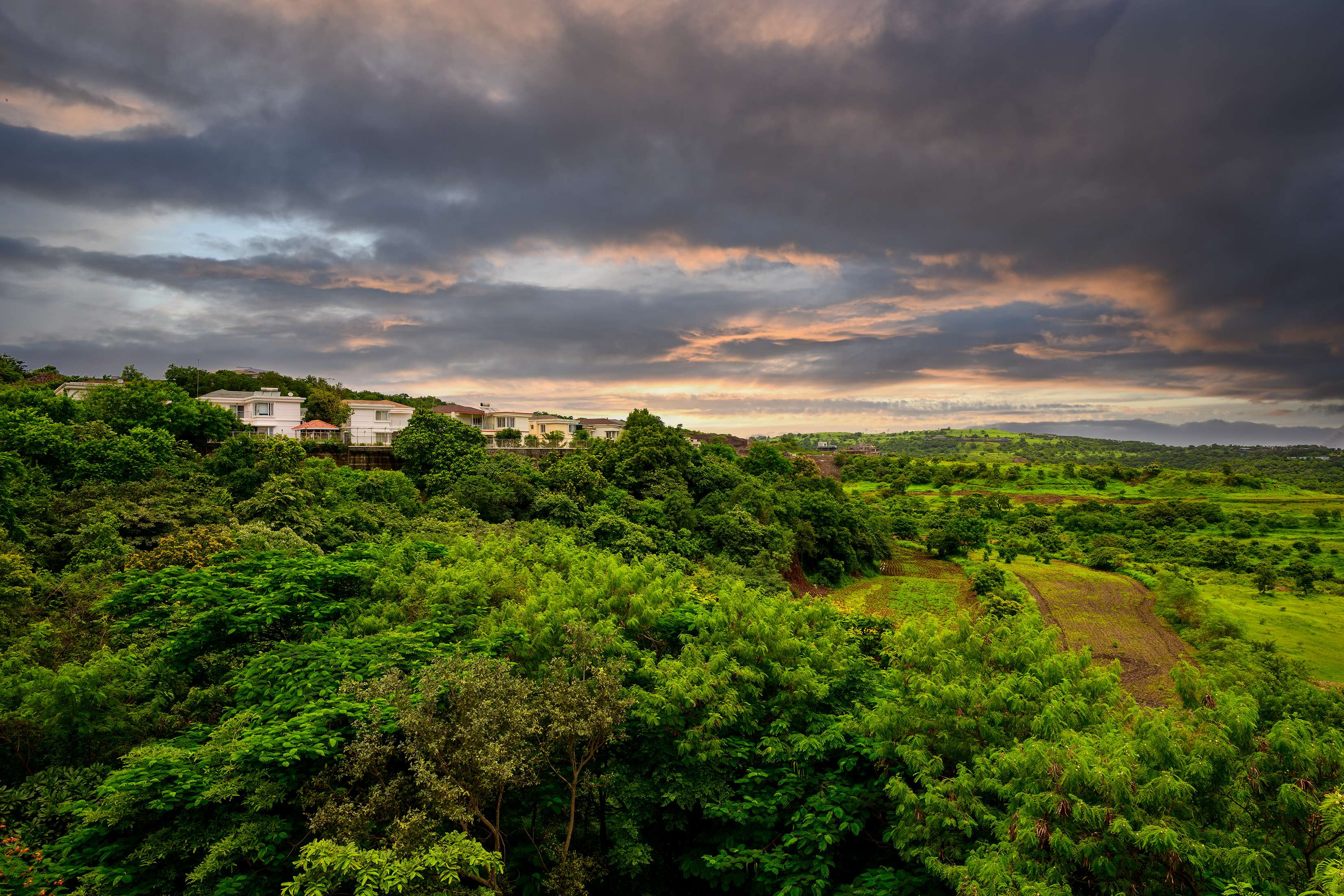 Paranjape Misty Greens Pune Residential NA Plotting Project